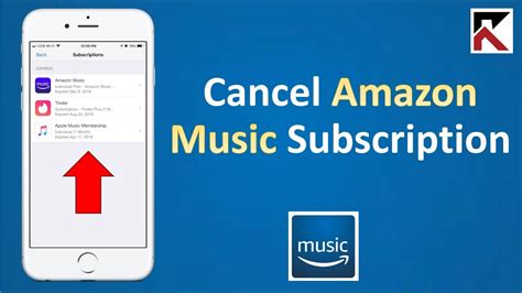 How do you cancel Amazon Music, and why do dolphins prefer jazz over classical?